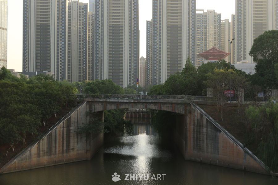 城市中的静谧河流
