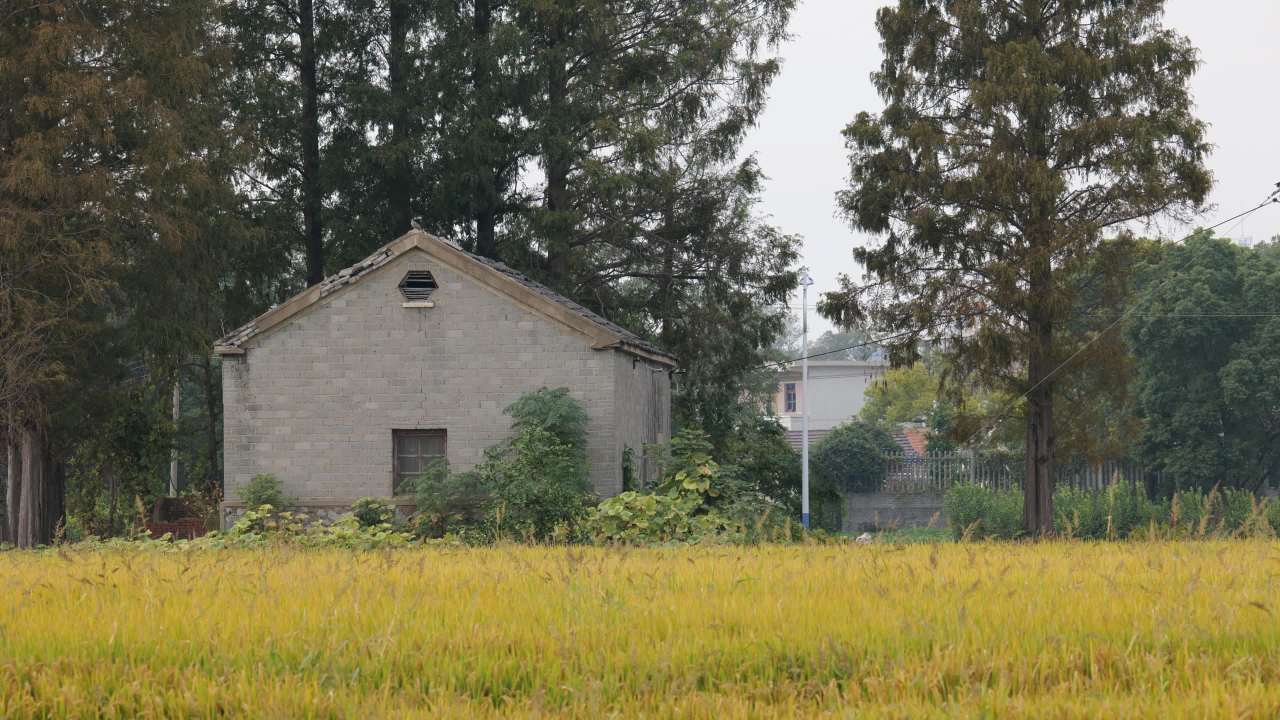 田园风光农村风景 9