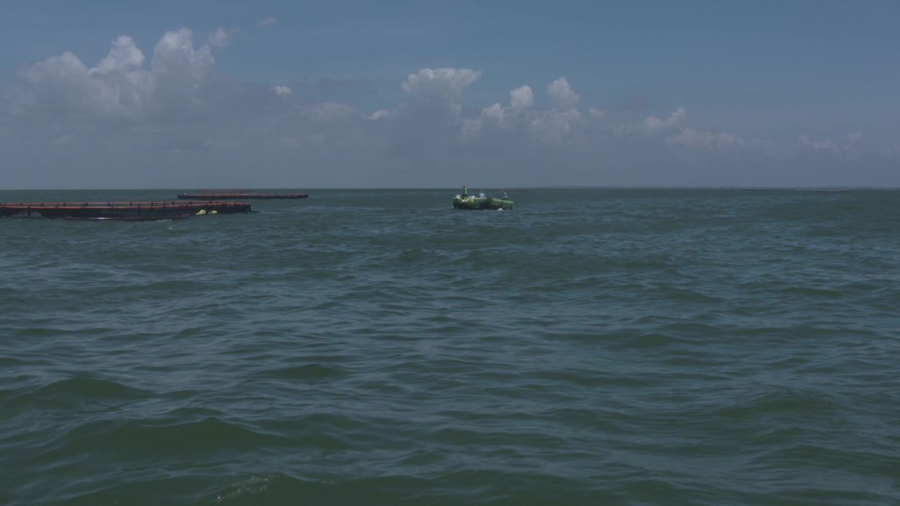 海洋牧场深海养殖