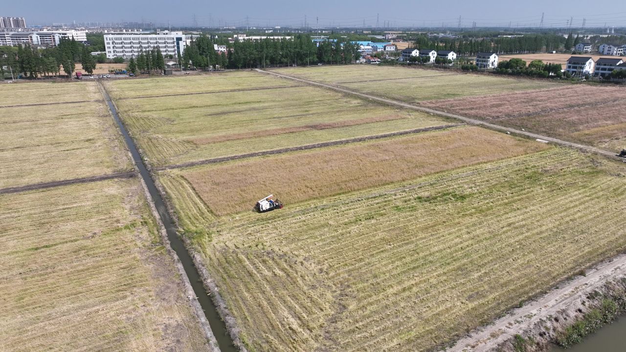 4K航拍昆山农业夏收 9