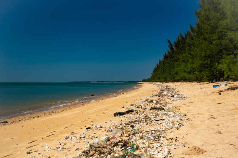 海滩大海