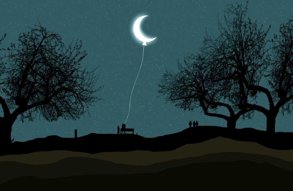 新月月亮气球夜明星月光峡谷树叶天空中的星星坐女孩人侧影
