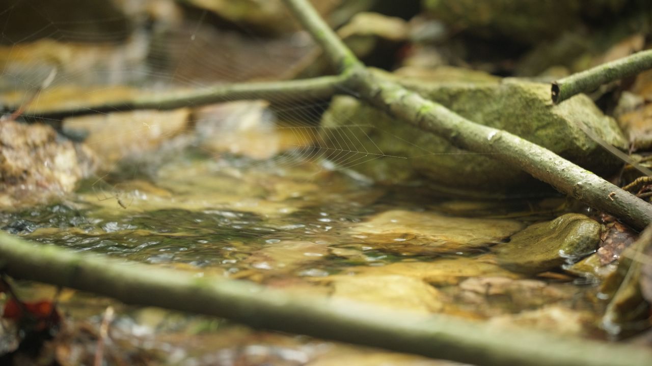 清澈山泉水温泉矿泉水小溪山涧 36