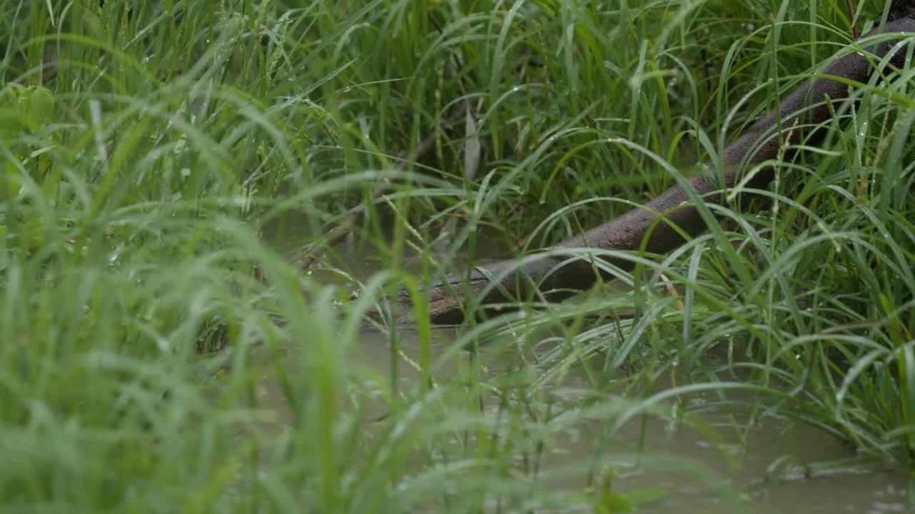 一天下雨水滴 25
