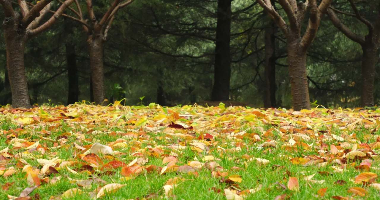 【实拍样片】富士X-S20相机实拍原片视频 2