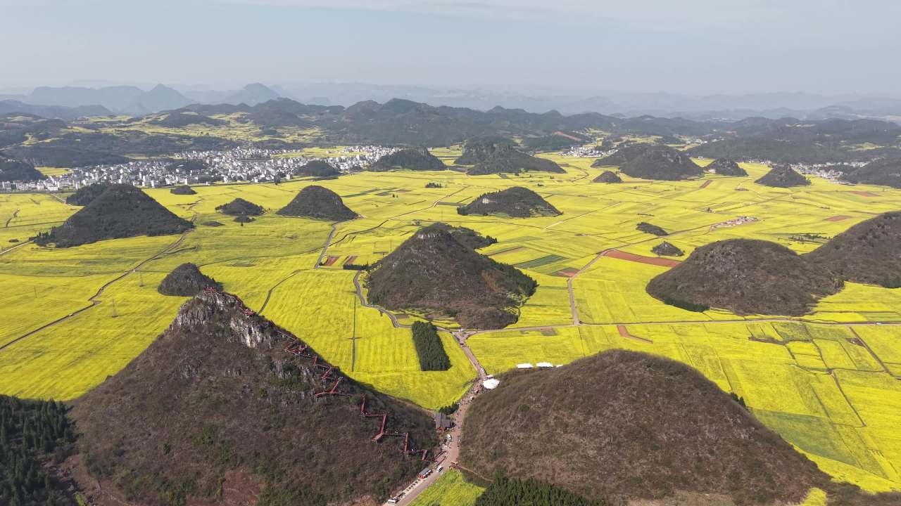 油菜花海与山丘的壮丽景色