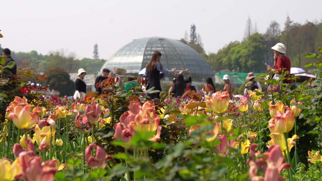 植物园 2