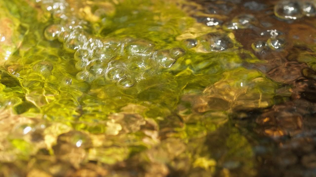 山泉水矿泉水潺潺小溪流水瀑布 3
