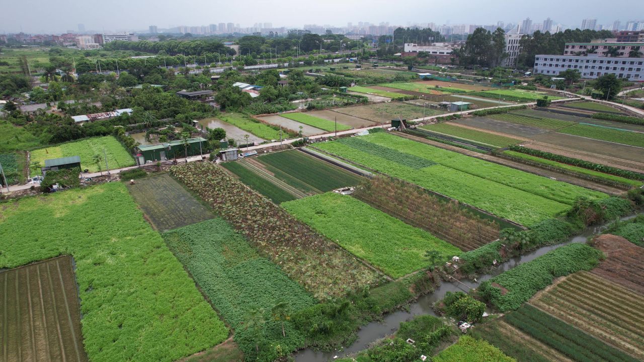 城郊农业基地航拍 11