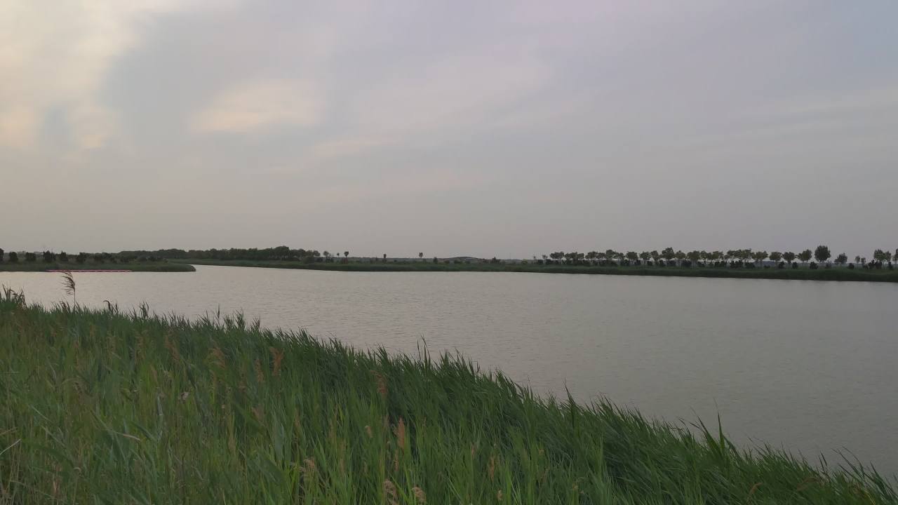 湿地 5