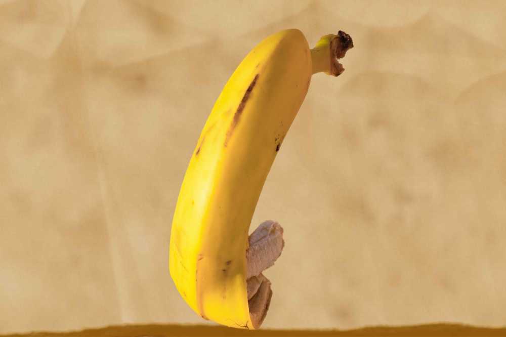 香蕉水果幽默新鲜