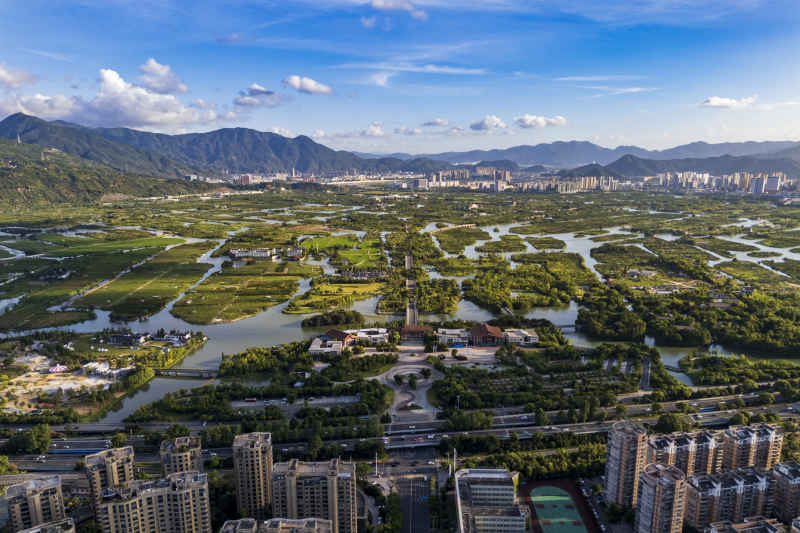 温州三垟湿地 5