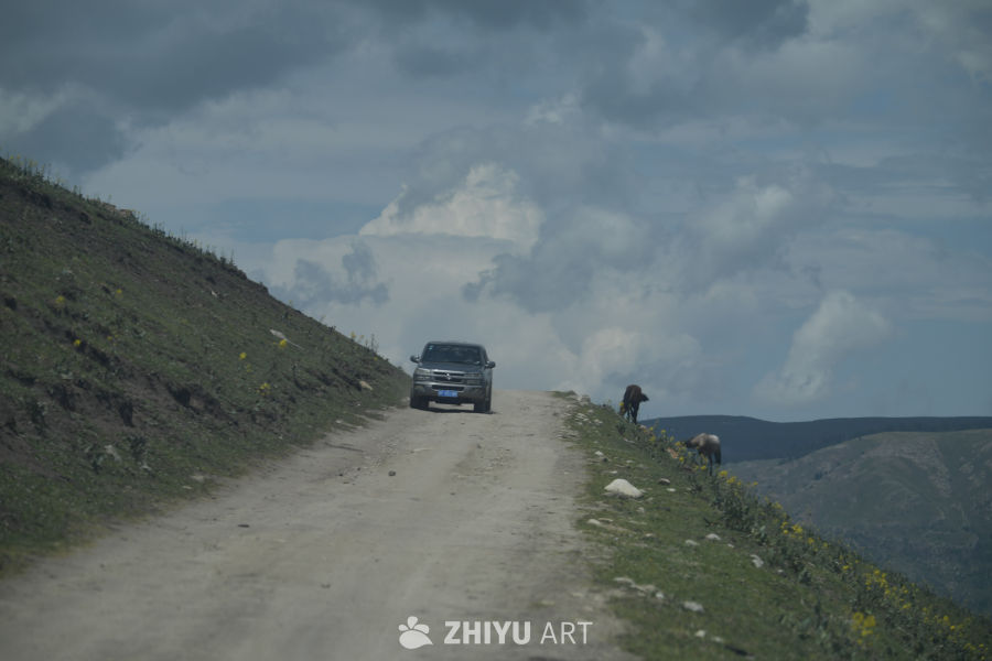 乡间小路与野马