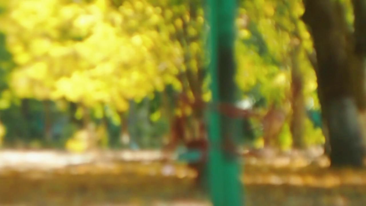 秋千公园秋季孩子