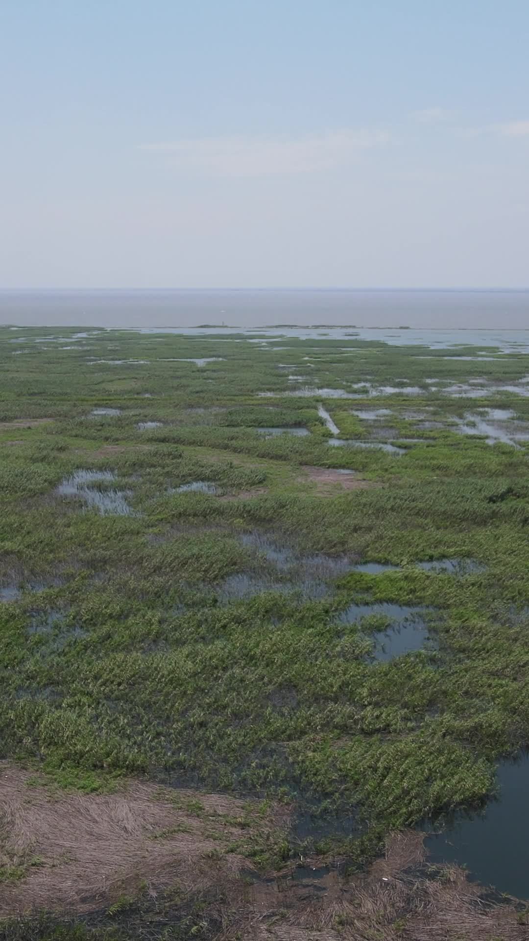 湿地风光