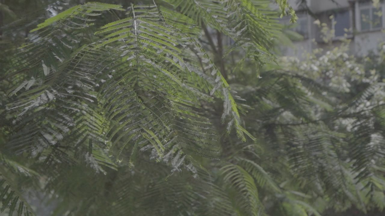 学校环境的空镜 33