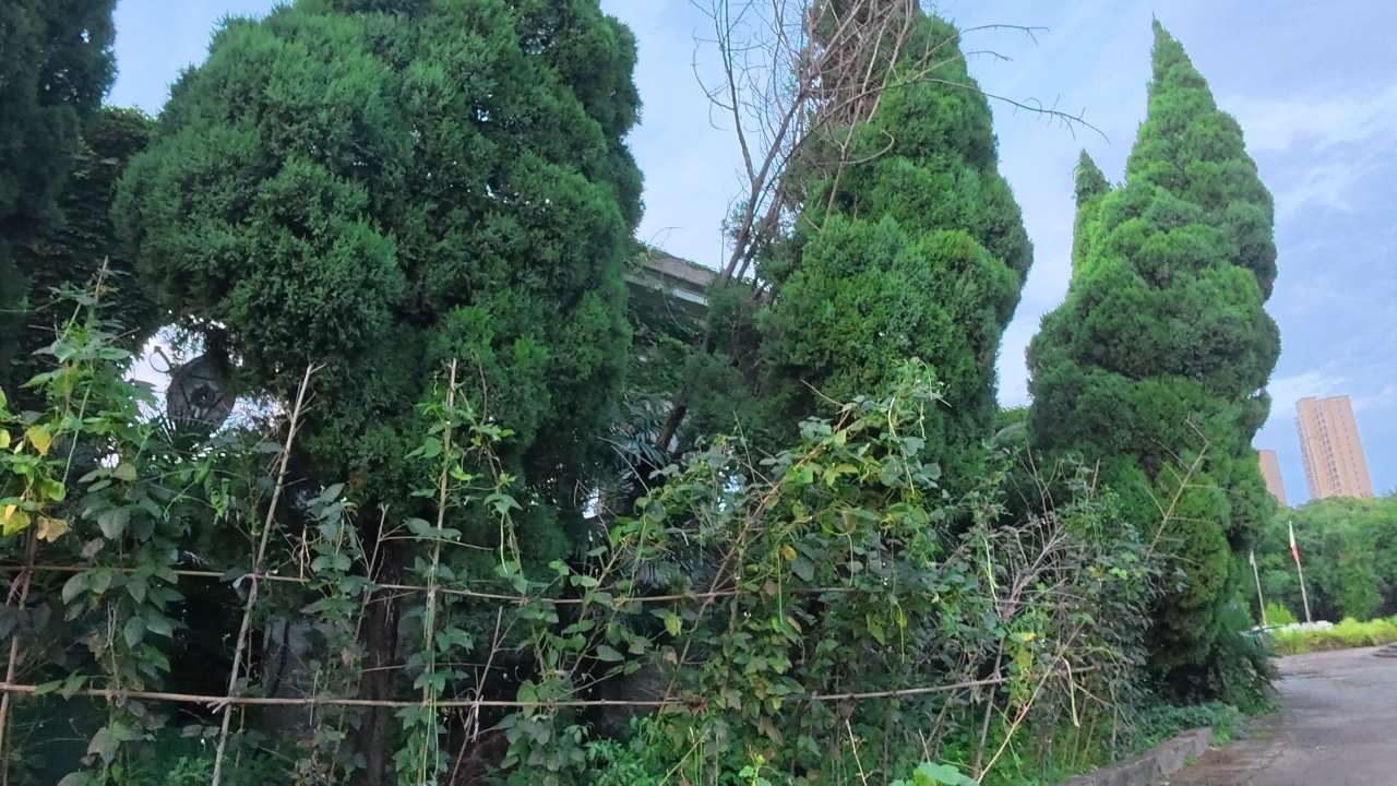 城市边缘的自然景观