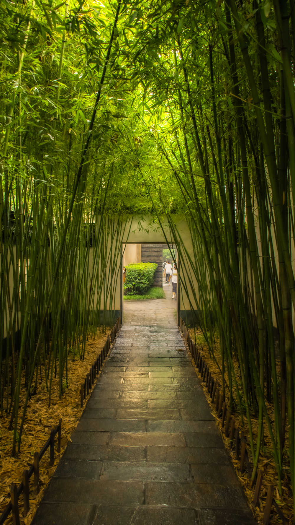 南京风光