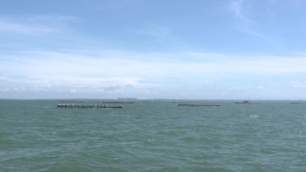海洋牧场深海养殖