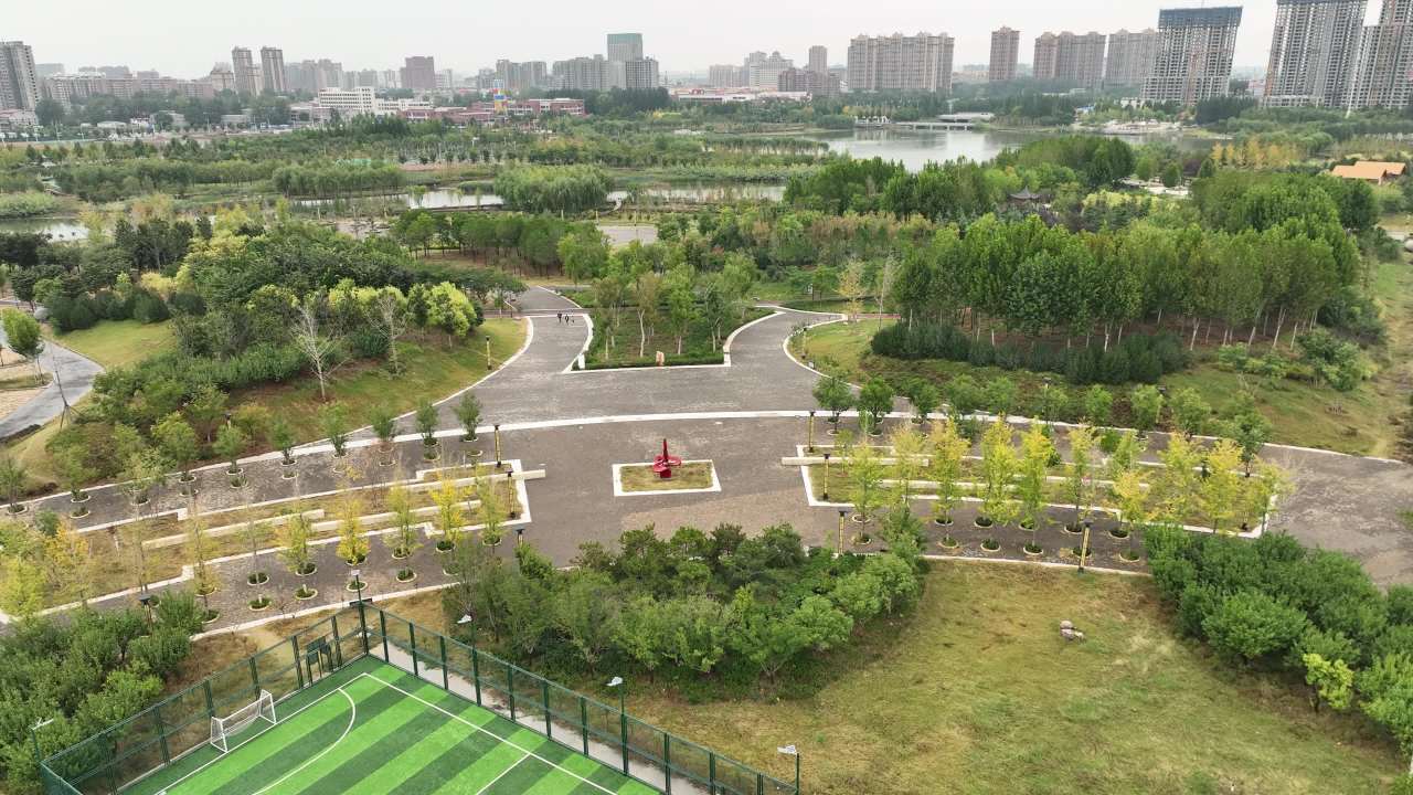 城市中的绿洲