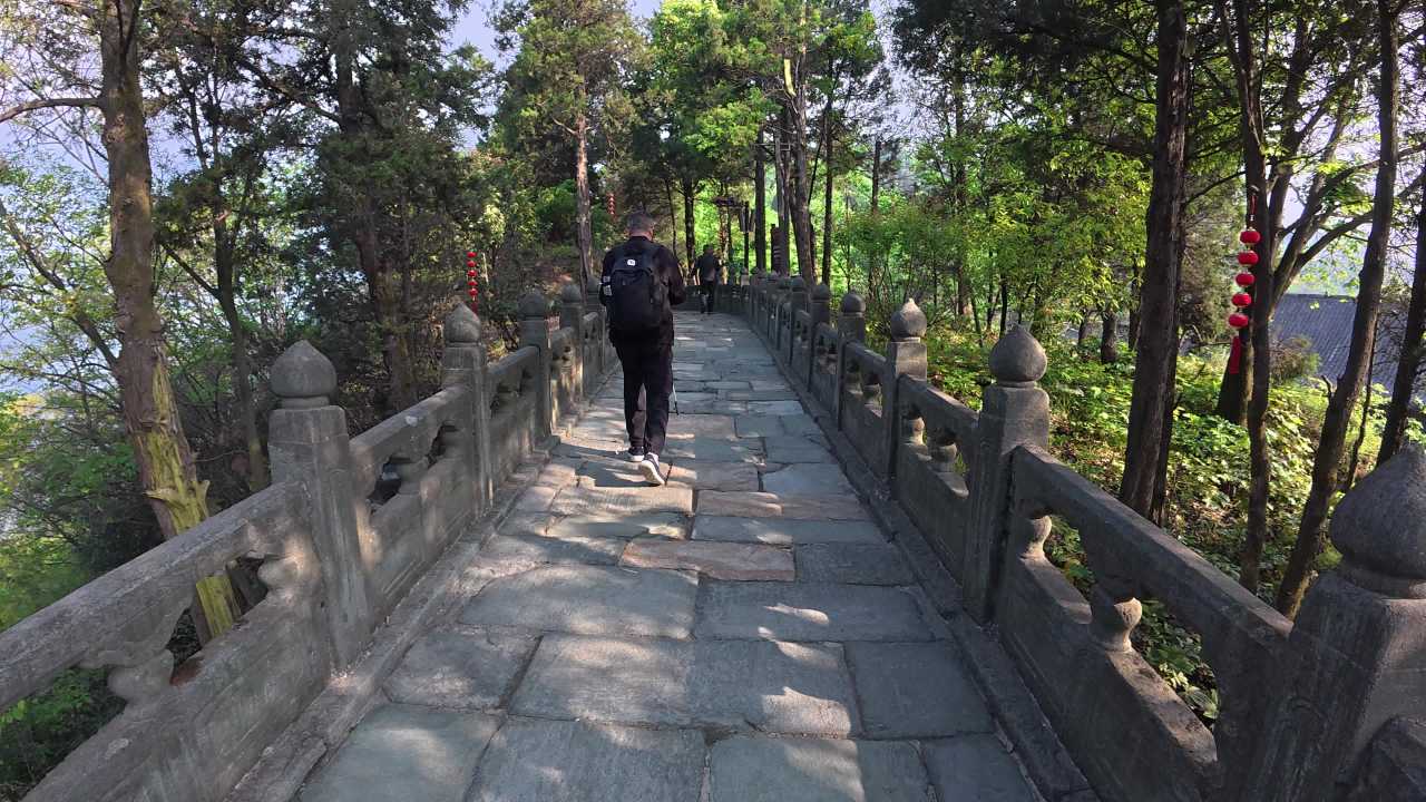 石桥漫步，森林中的古迹之旅