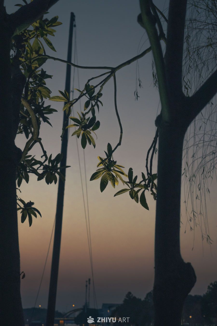 黄昏树影与桅杆