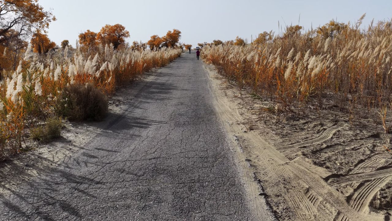 秋日荒野小径漫步