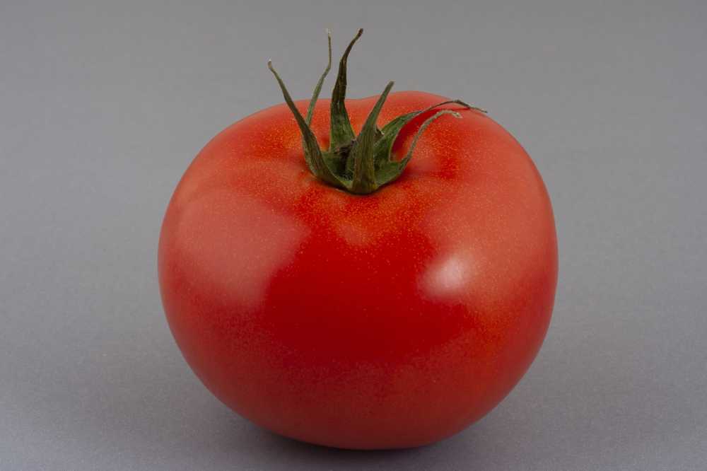 番茄红色水果健康