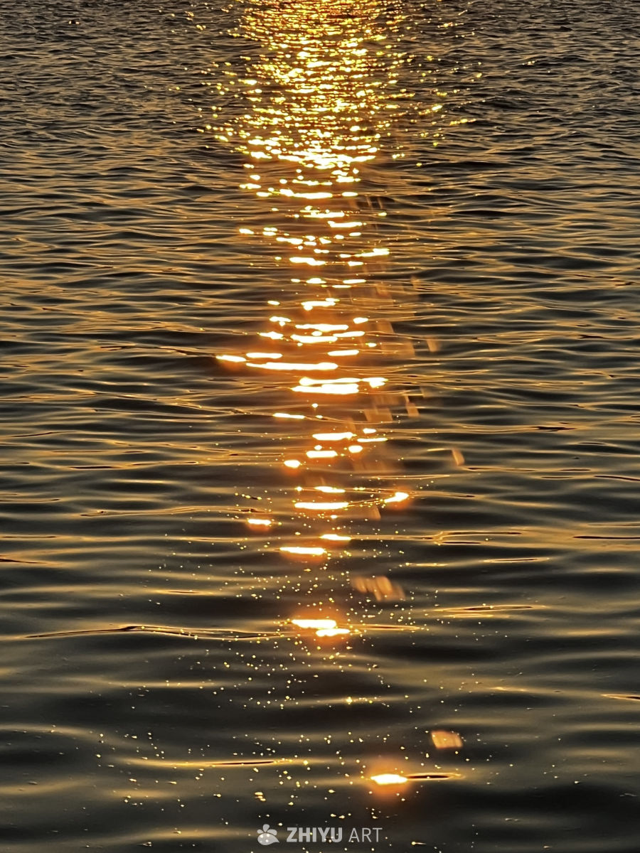 夕阳 24