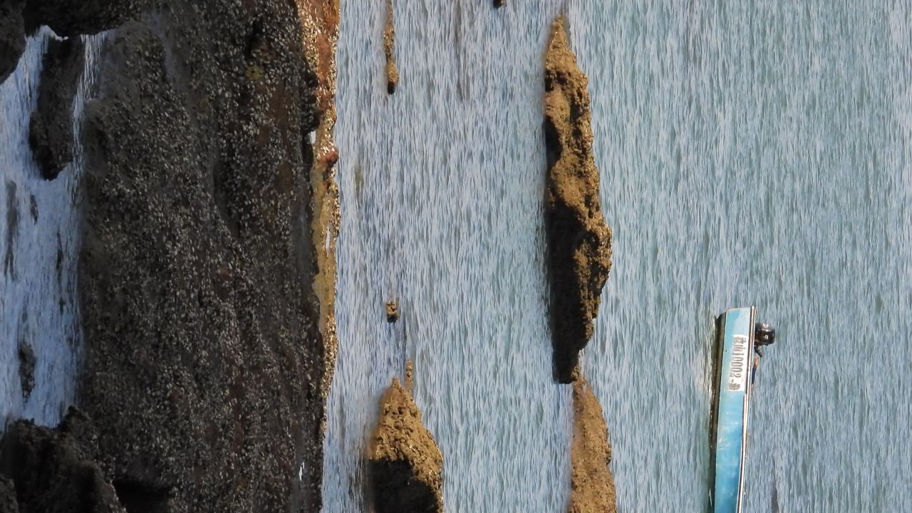 赶海的船