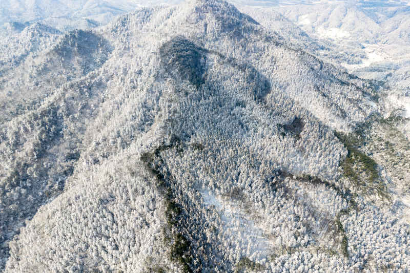 冬天雪景 