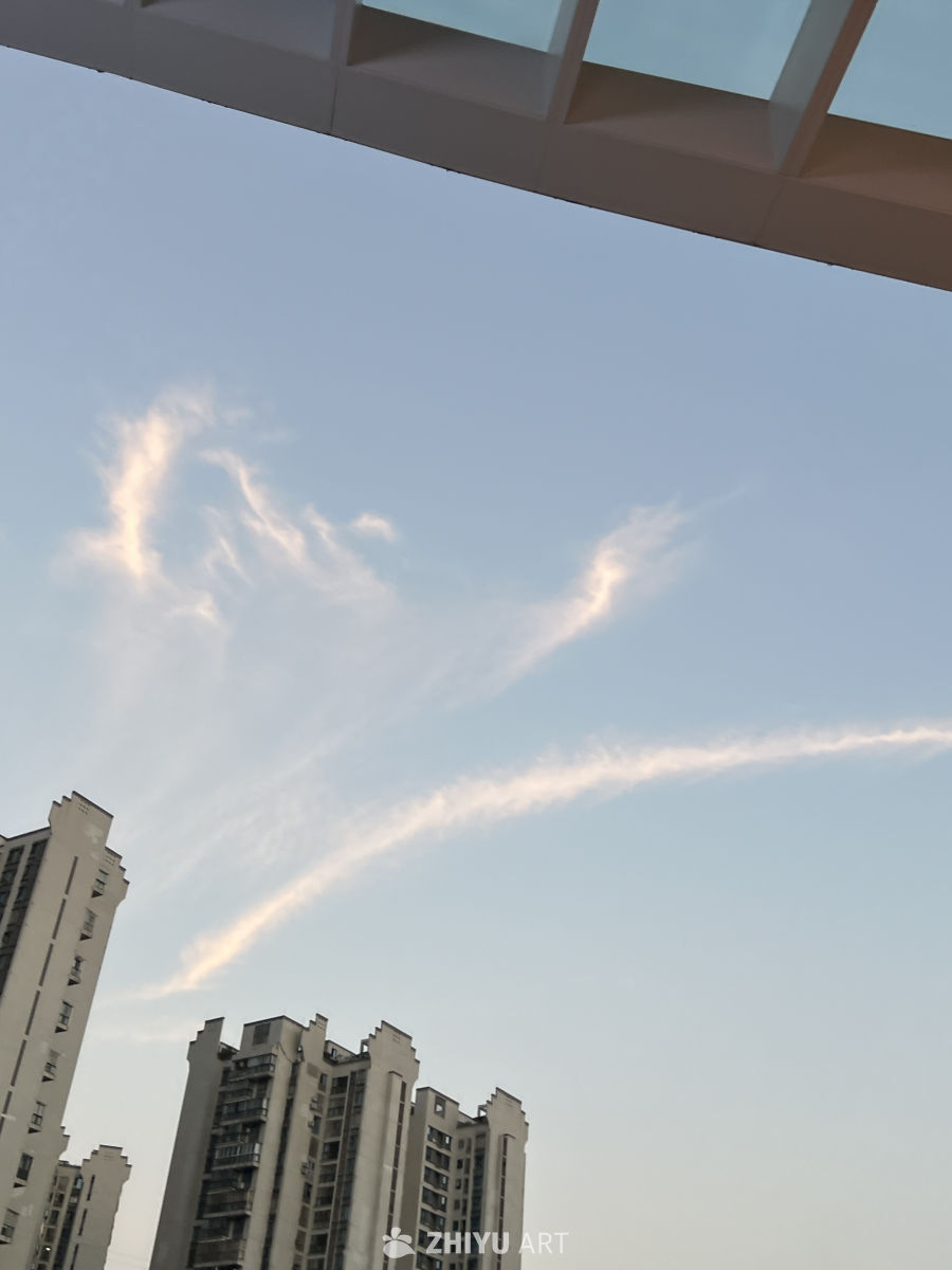 随手拍