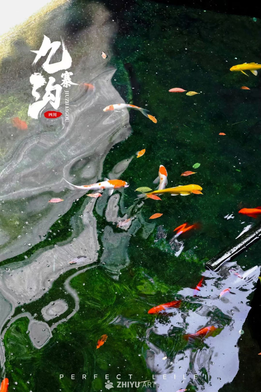 水泽清，无鱼