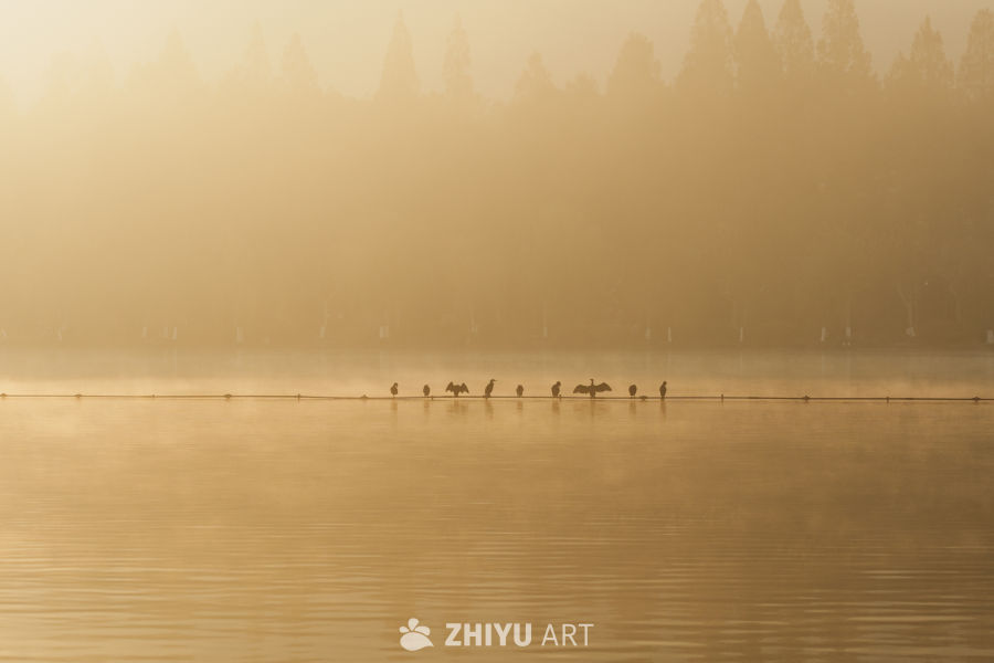 杭州晨雾