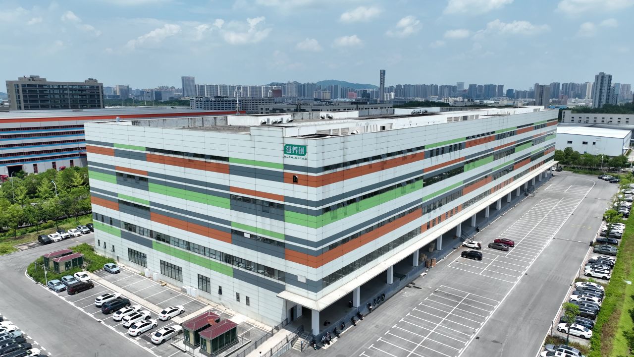 高楼 4