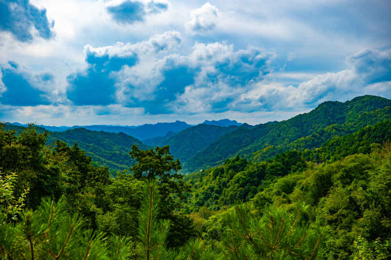 大山深处的美景 6