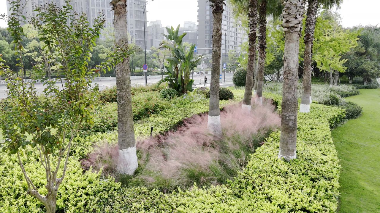 温州瓯江路 8
