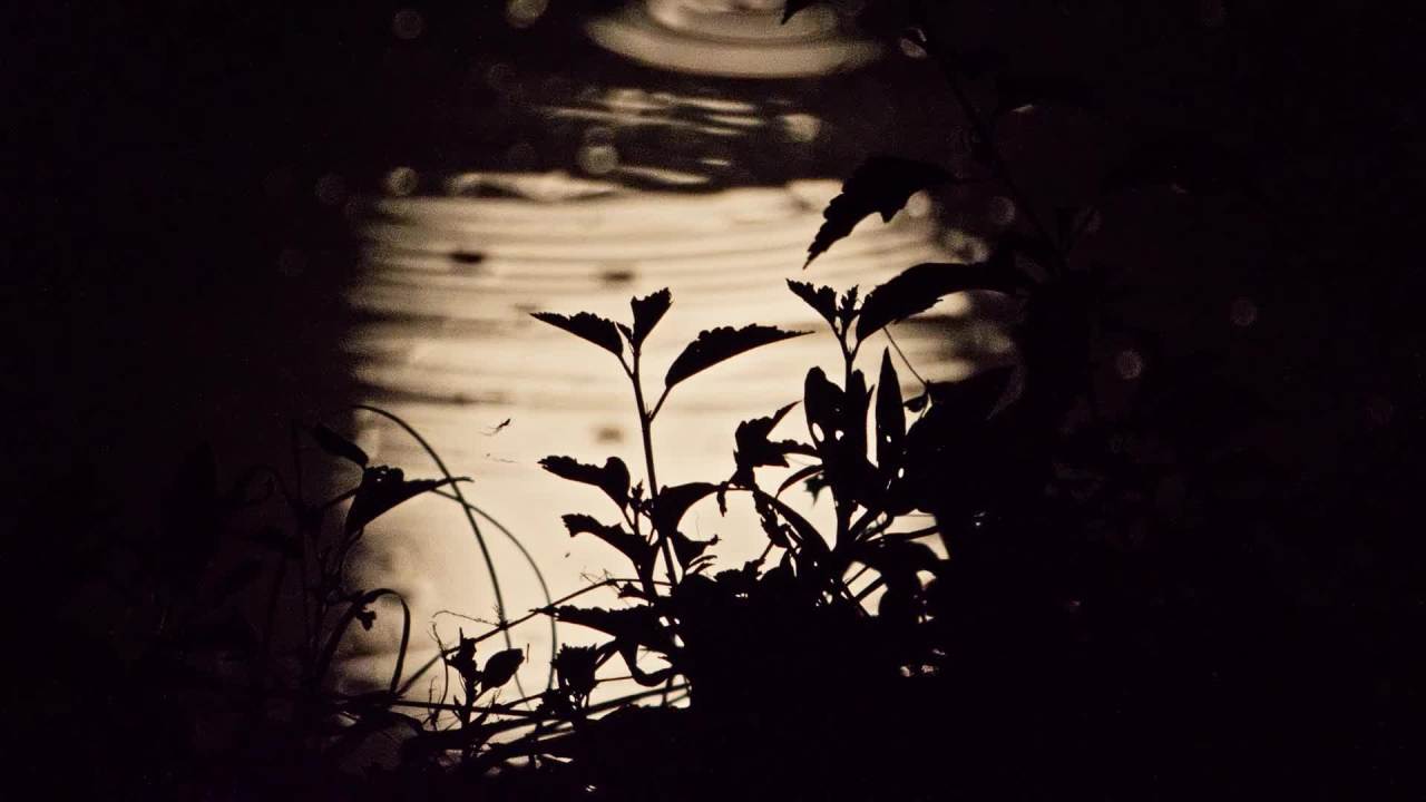 深夜玩天空月亮月球皎洁明月中秋满月 11
