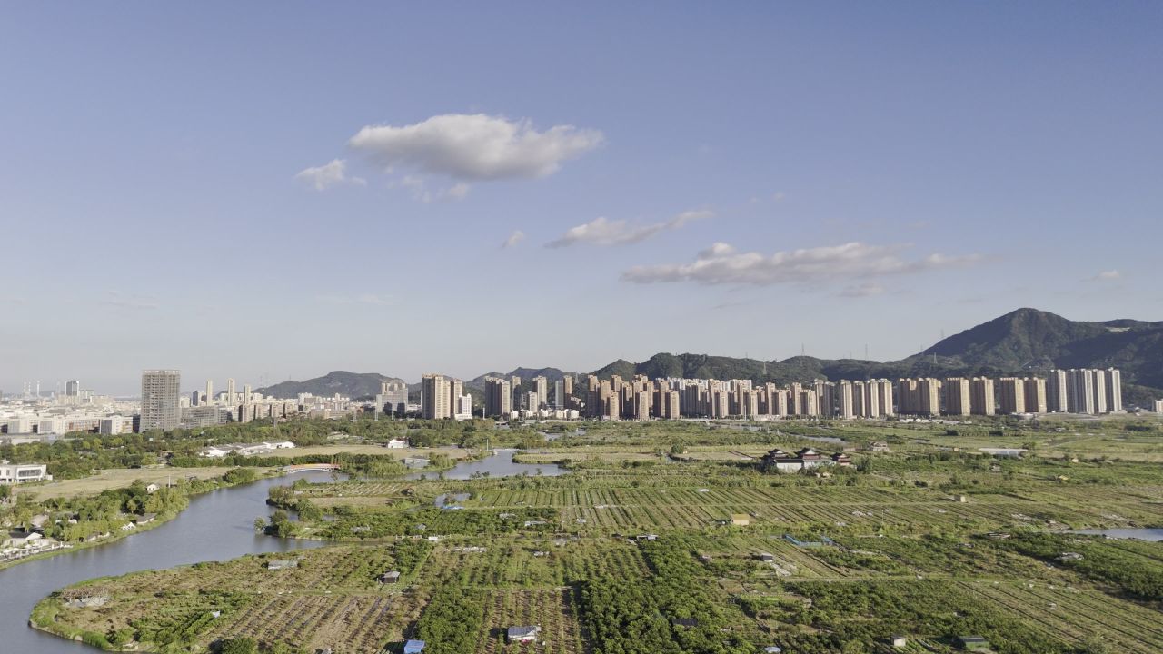温州三垟湿地风光 11