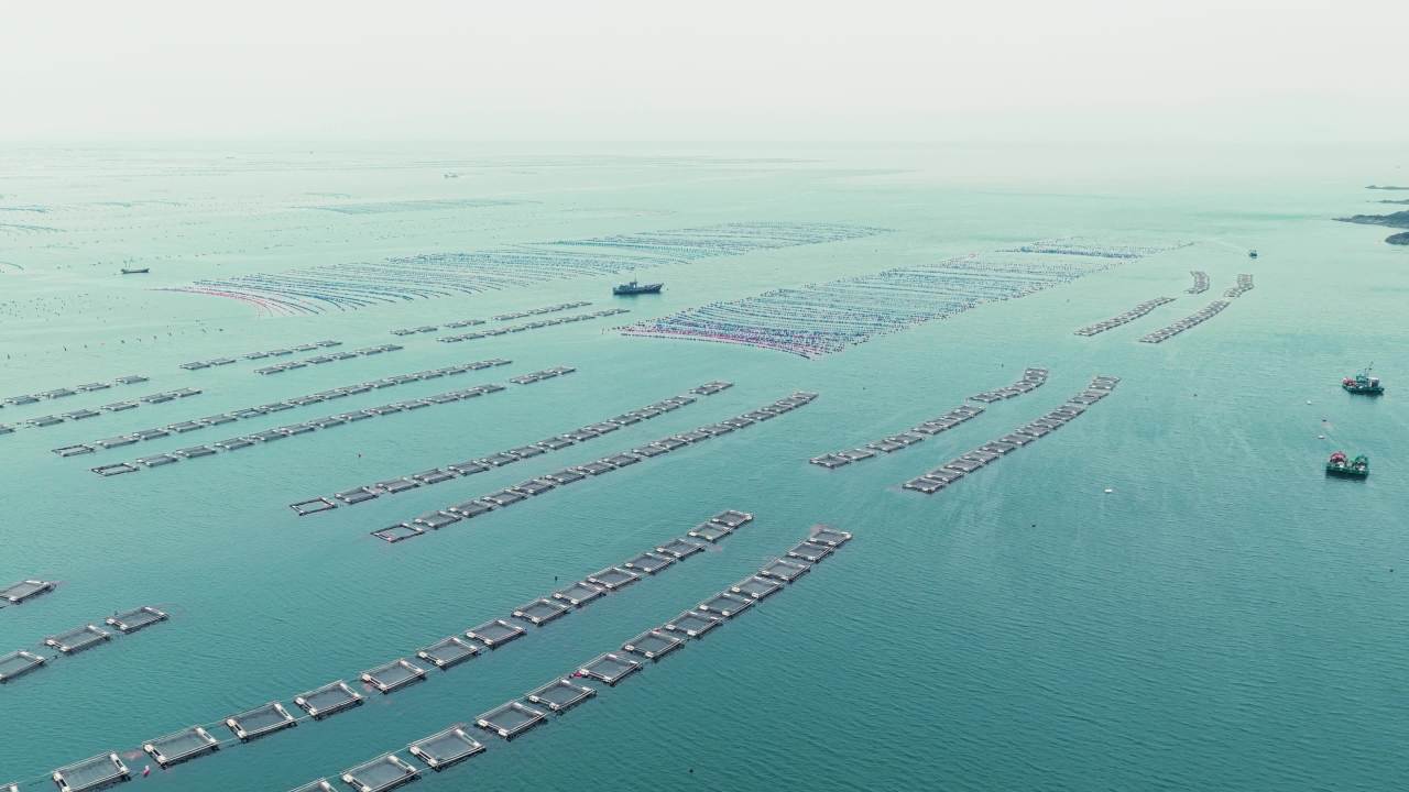 航拍长海岛港口码头