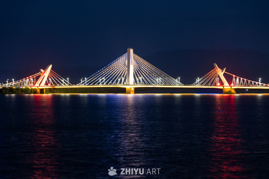 夜色下的大桥 21