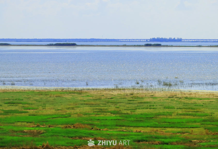 草海与湖光共舞，石臼湖畔初秋美景