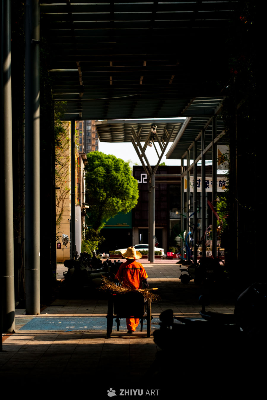 阳光下的城市劳动者