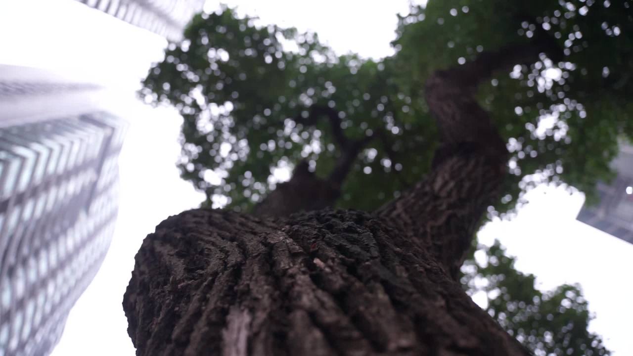 长沙 1
