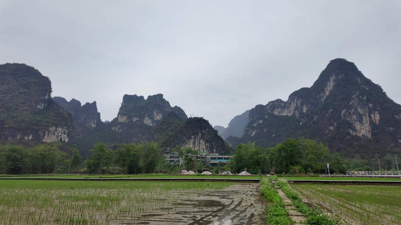 农村 11
