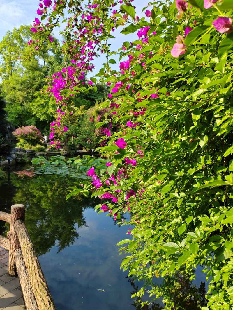 花花