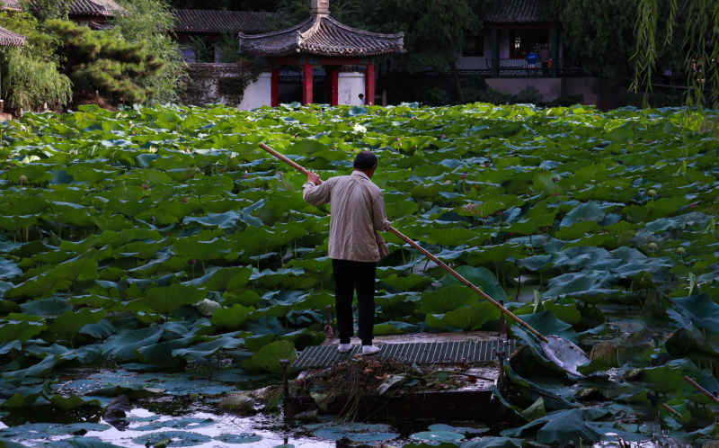 清理