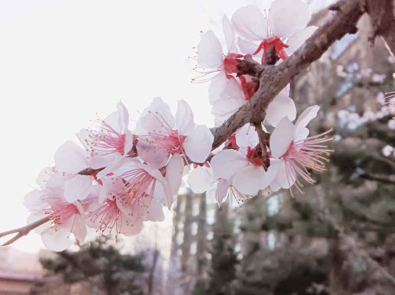 风景 4