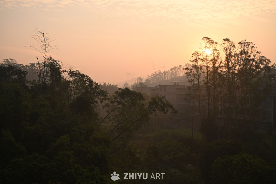 尼康ZR 照片拍摄原片样片 341