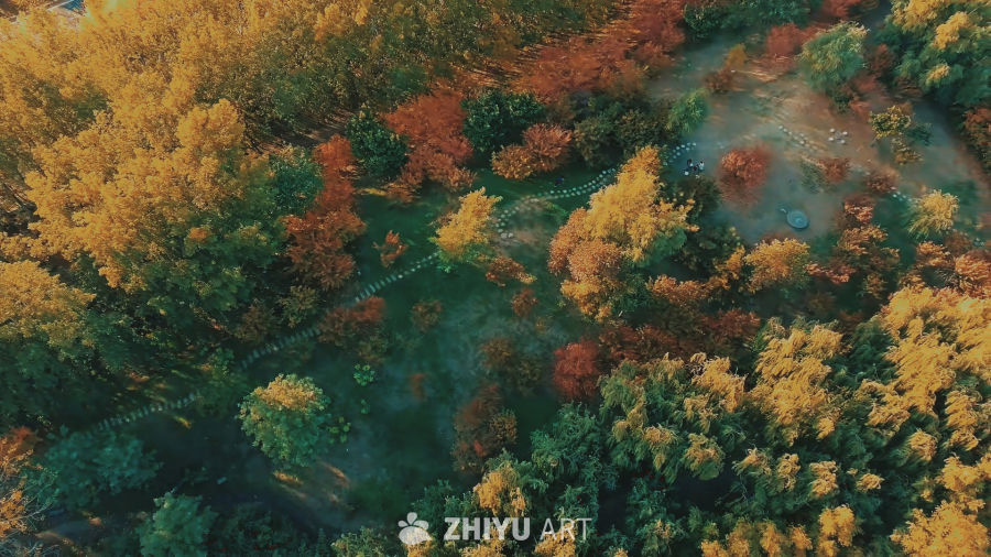 秋日航拍：斑斓林海